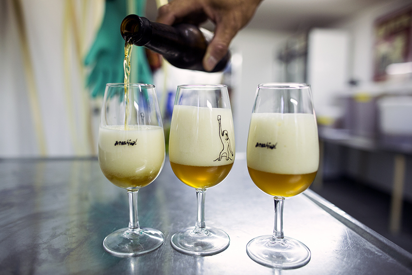 Hög-saison på gång i Hyllies eget mikrobryggeri